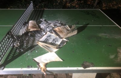 266. Brand Bücher, Mosergarten