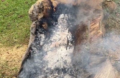 328. Brand eines Holzstammes, Kyburgweg