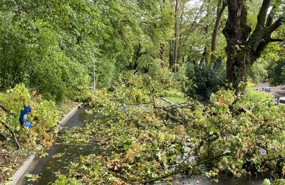 319. Unwetter über der Stadt Schaffhausen
