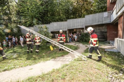 hue18 42 20180908 1687417955