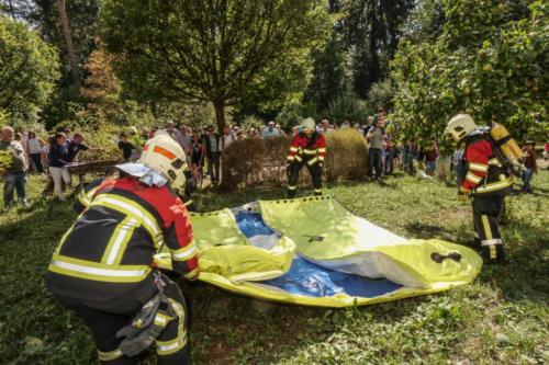 hue18 49 20180908 1094355993