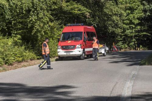 hue18 76 20180908 1253639606