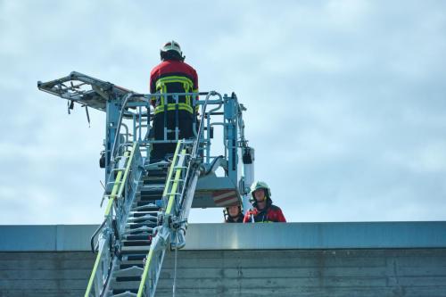 fwsh 088 DSC2112